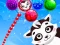 Igra Raccoon Rescue online