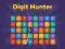 Igra Digit Hunter online