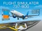 Igra Flight Simulator 737-800 online