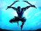Igra Shadow Ninja Revenge online