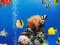 Igra Sea Underwater Difference online