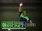 Igra Cricket Fielder Challenge online
