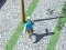 Igra City Run 3D online