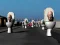 Igra Hunt Skibidi Toilet online