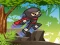 Igra Ninja Jungle Adventures online