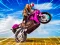 Igra Crazy Wheelie Motorider online