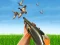 Igra Bird Hunting online