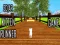 Igra Cutie cat online