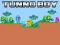 Igra Tunno Boy online
