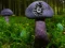 Igra Mushroom Forest Adventure online
