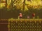 Igra The Lost Forest online