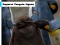 Igra Emperor Penguin Jigsaw online