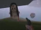 Igra The Island of Momo online