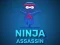 Igra Ninja Assassin online