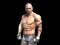 Igra Fight Arena Online online