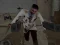 Igra Residence of Evil: Quarantine online