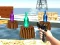 Igra Bottle Shooter games online