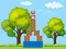 Igra Box Challenge online