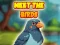 Igra Meet The Birds online