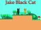 Igra Jake Black Cat online