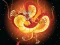 Igra Chinese Dragons Coloring online