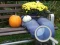 Igra Autumn Garden Find 100 butterflies online