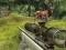 Igra Stag Hunt online