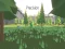 Igra Precision online
