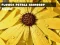 Igra Flower Petals Raindrop Jigsaw online