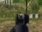 Igra Army Shooter online
