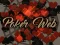 Igra Poker Web online
