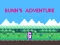 Igra Bunn's Adventure online