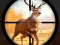 Igra Wild Hunting Clash online