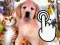Igra Pets Clicker online