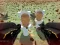 Igra Shooting Survival Skibidi Toilet online