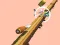 Igra Spiral Rush online