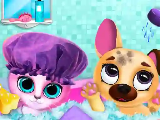 Igra Cute Pet Friends online