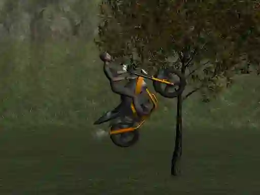 Igra Mountain Bike Rider online