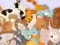 Igra Find The Kitty online