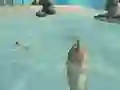 Igra Shark Simulator Beach Killer online