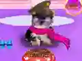 Igra Wash Pets Princess Kids online