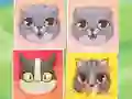 Igra Kitten Match online
