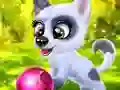 Igra Happy Dog online