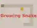 Igra Growing Snake online