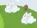 Igra Crazy Eggs online