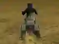 Igra Real Moto Stunts Challenge online