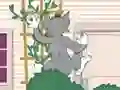 Igra Tom und Jerry: Wasserbomben Wahnsinn online