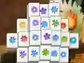 Igra Spring Flower online