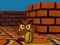 Igra Mario FPS online