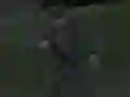 Igra Soviet Sniper online